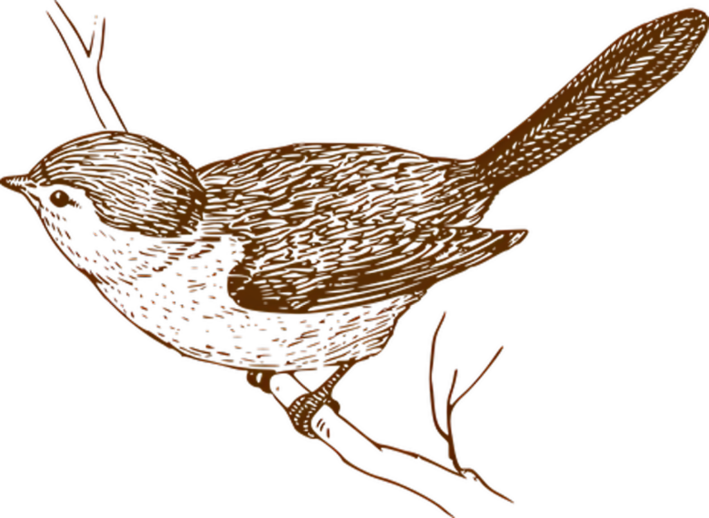 Elegant Bird Silhouette Wallpaper: Rustic Line Art Design