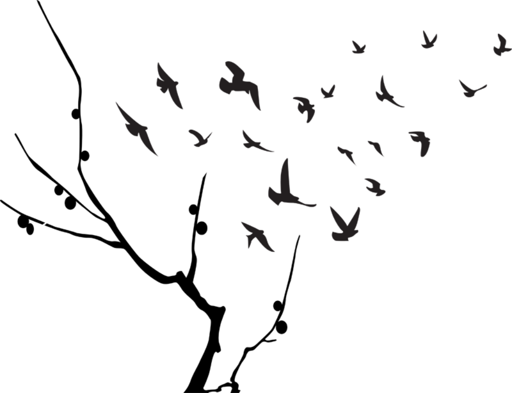 Elegant Bird Silhouette Wallpaper on Transparent Background