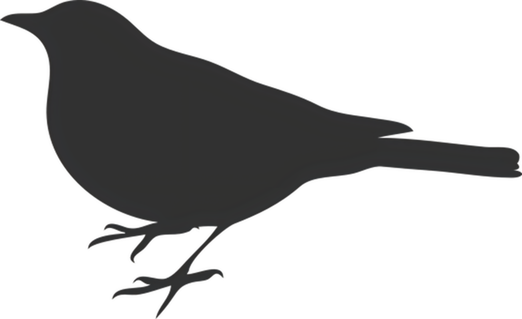 Elegant Bird Silhouette Wallpaper on Minimalist Background