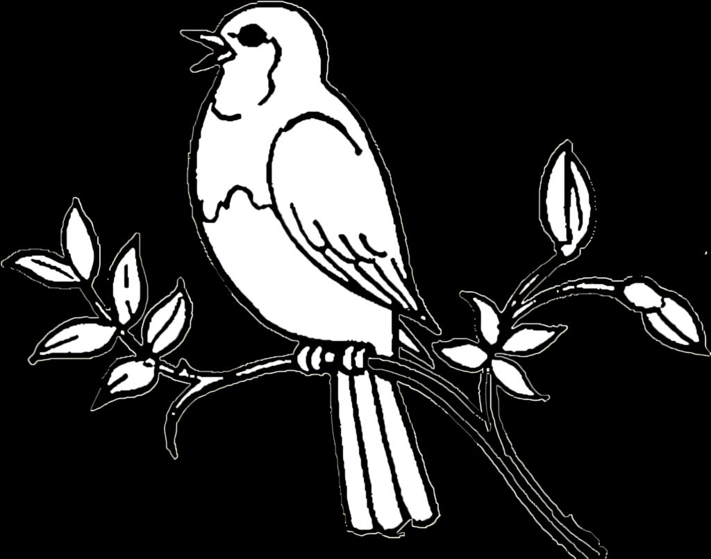 Elegant Bird Silhouette on Branch - Serene Black and White Wallpaper