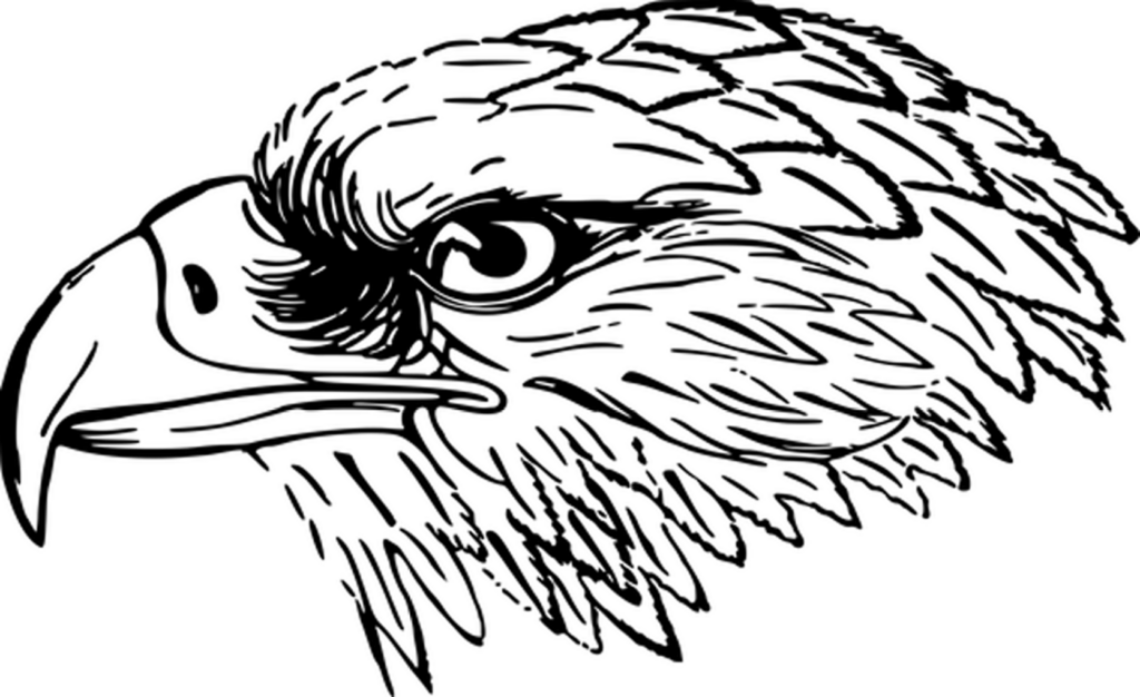 Versatile Plain Black Background for Minimalist Design Projects Wallpaper