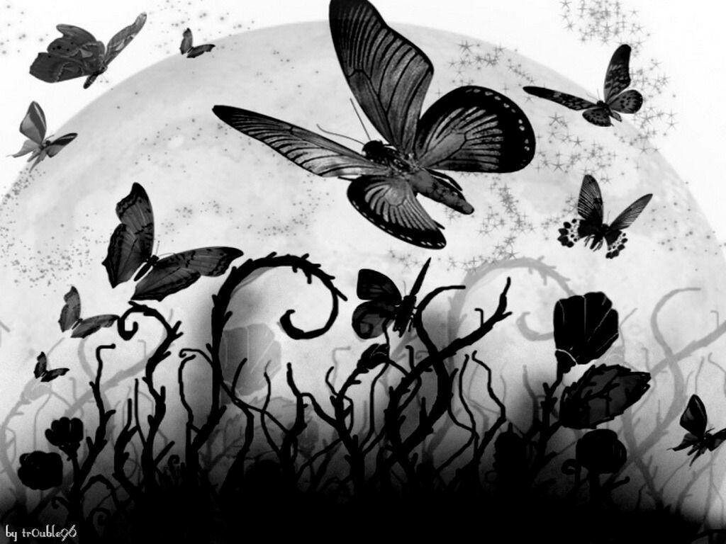 Elegant Black Butterflies Over Abstract Plants - Enchanting Wallpaper