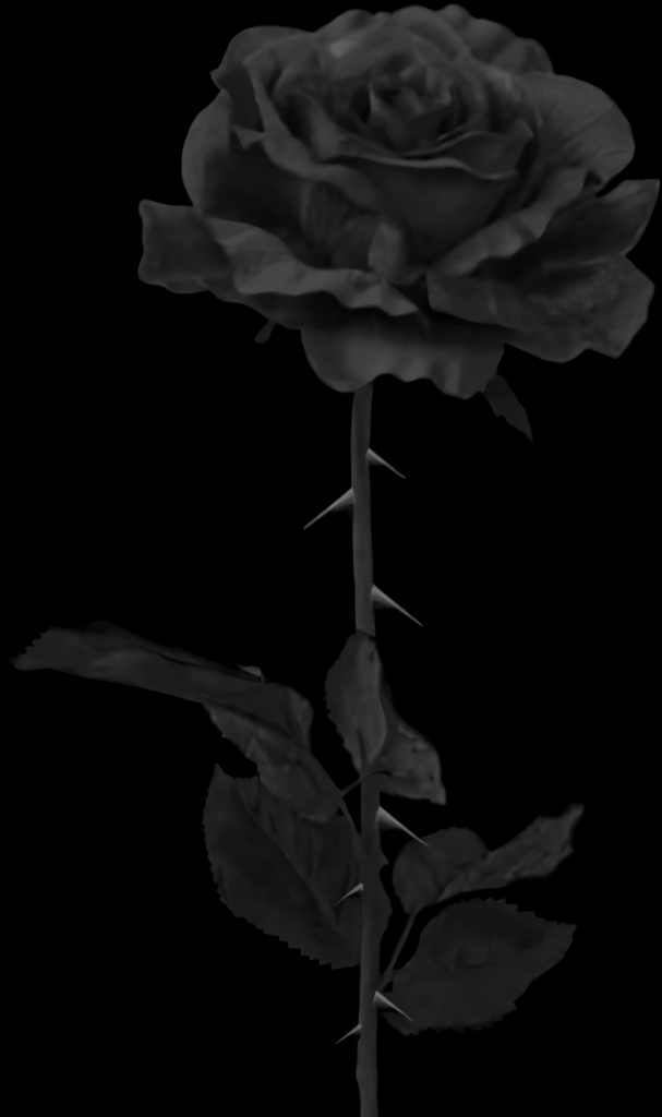 Elegant Black Rose on Dark Background: Striking Floral Art Wallpaper
