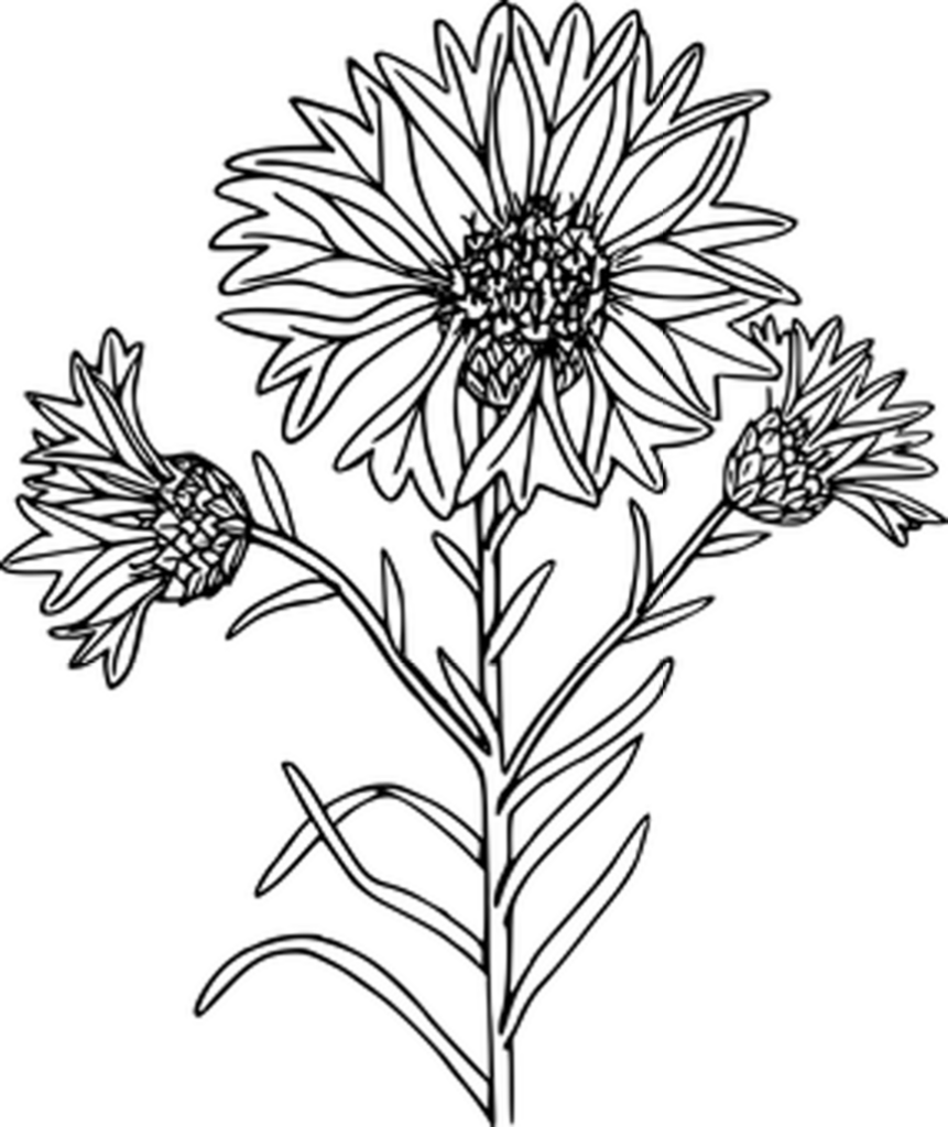 Blank Black Background Image for Placeholder Use - Minimalist Design Wallpaper