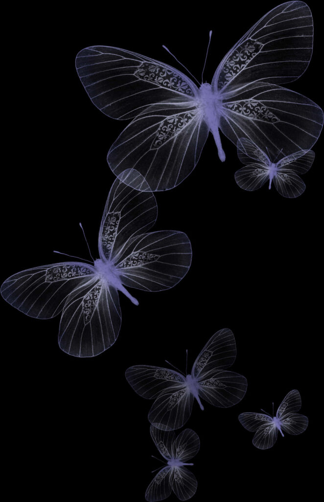 Elegant Transparent Butterfly Wallpaper on Black Background