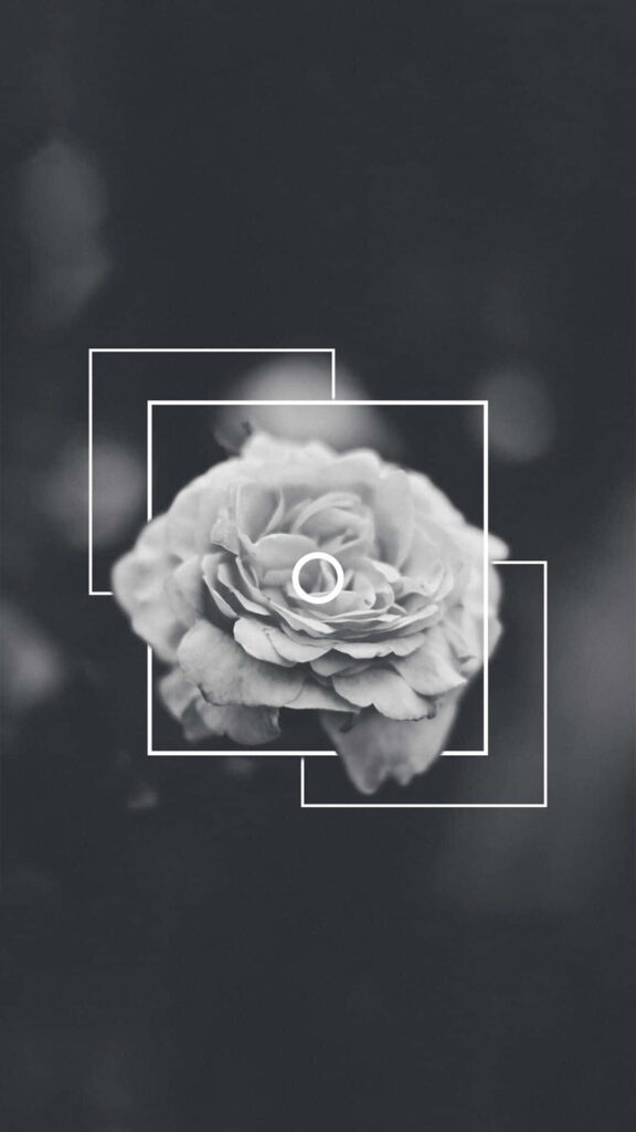 Elegant Black and White Flower Wallpaper for Minimalist Background