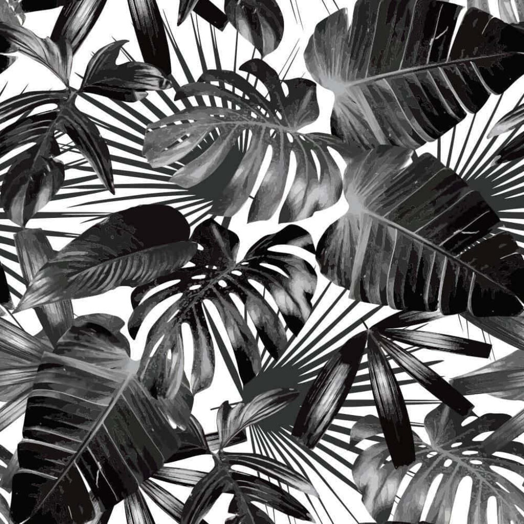 Elegant Black and White Palm Leaf Wallpaper - Monochrome Decor