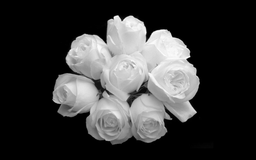 Elegant Black and White Roses Wallpaper on Solid Black Background