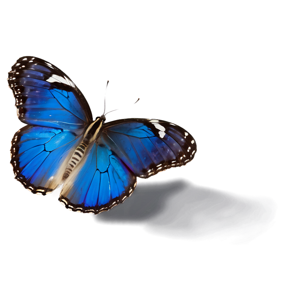 Elegant Blue Butterfly Wallpaper: Intricate Patterns in Flight