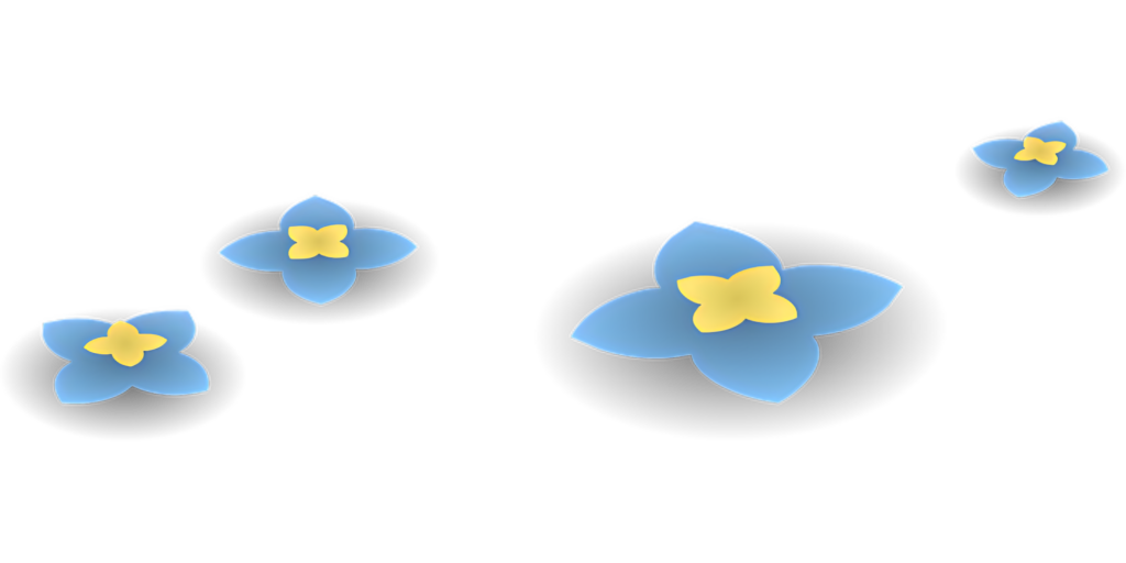 Elegant Blue Forget-Me-Nots on Black: Striking Floral Wallpaper