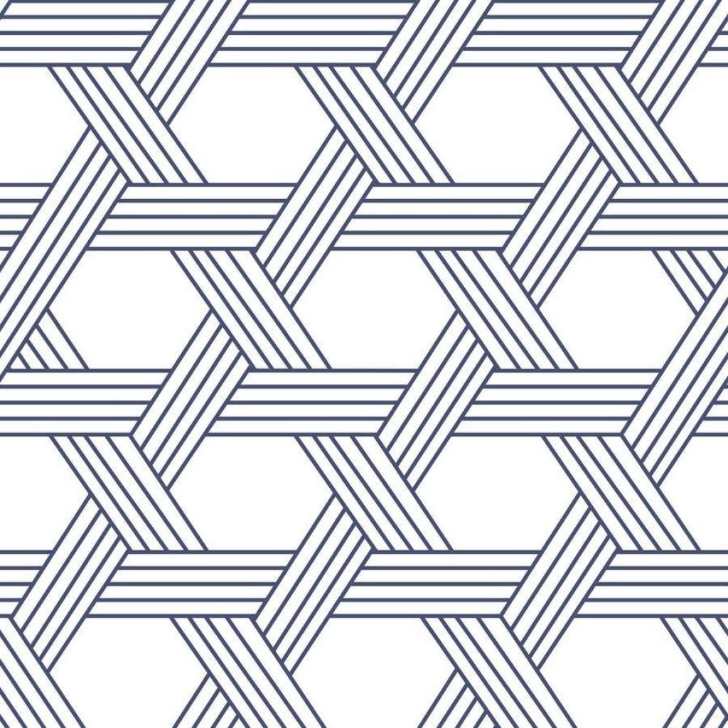 Elegant blue geometric wallpaper with parallel lines lattice pattern on white background