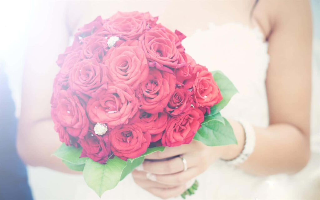 Elegant Bride with Red Rose Bouquet in Dreamy Soft Lighting Wallpaper