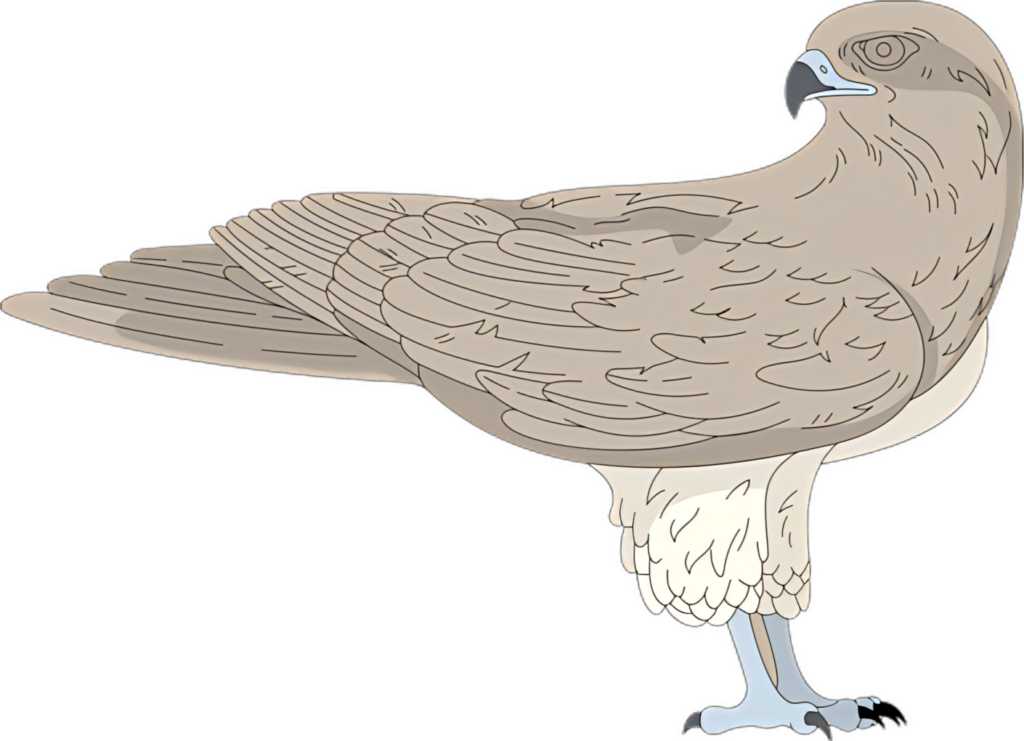 Elegant Brown Bird Wallpaper: Nature's Beauty for Your Digital Space