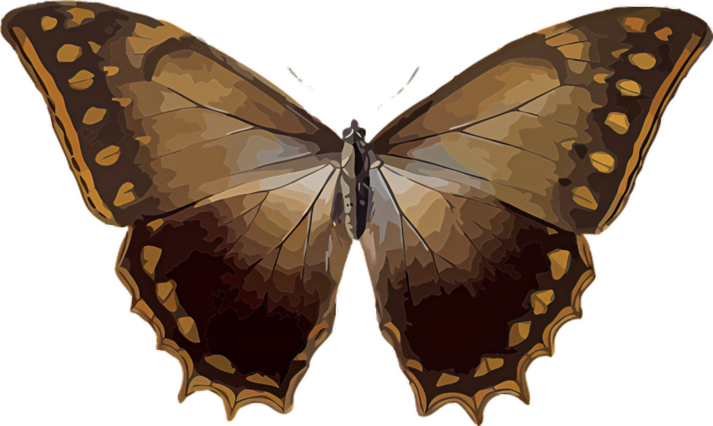 Elegant Brown Butterfly Wallpaper - Intricate Nature Design Background