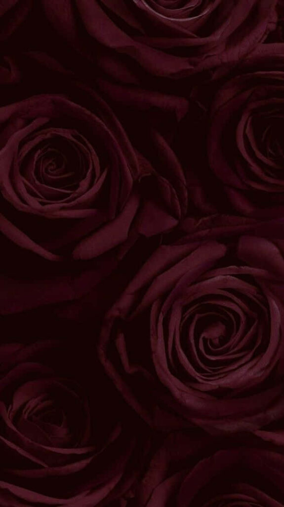 Luxurious Burgundy Roses Wallpaper with Elegant Layered Texture