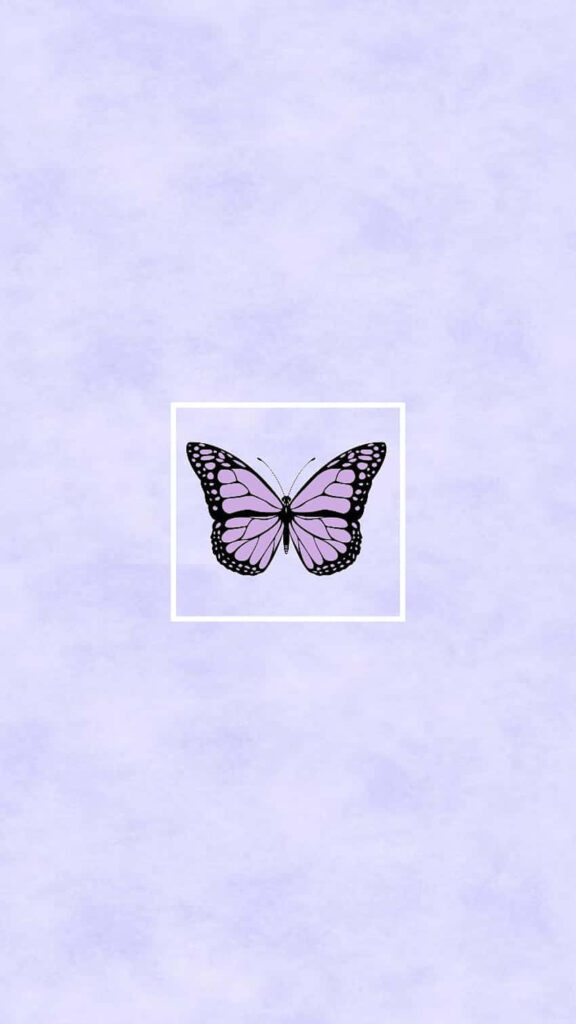 Elegant Butterfly Wallpaper: Intricate Black & Purple Design