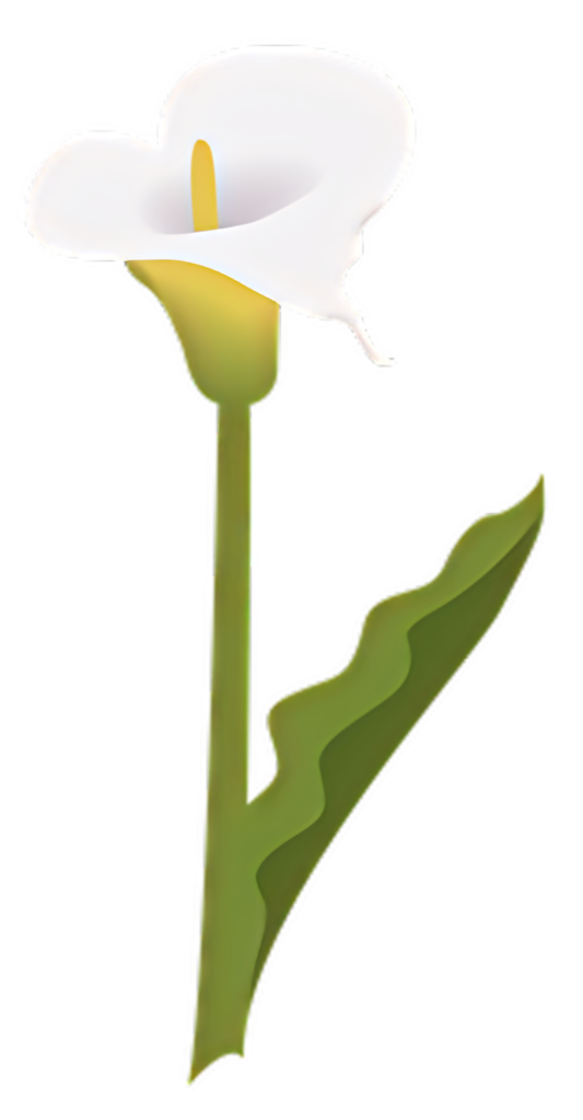Elegant White Calla Lily Wallpaper: Minimalist Floral Design