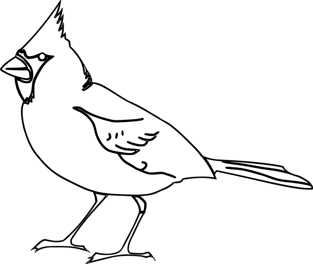 Elegant Cardinal Bird Line Art Wallpaper - Minimalist Design
