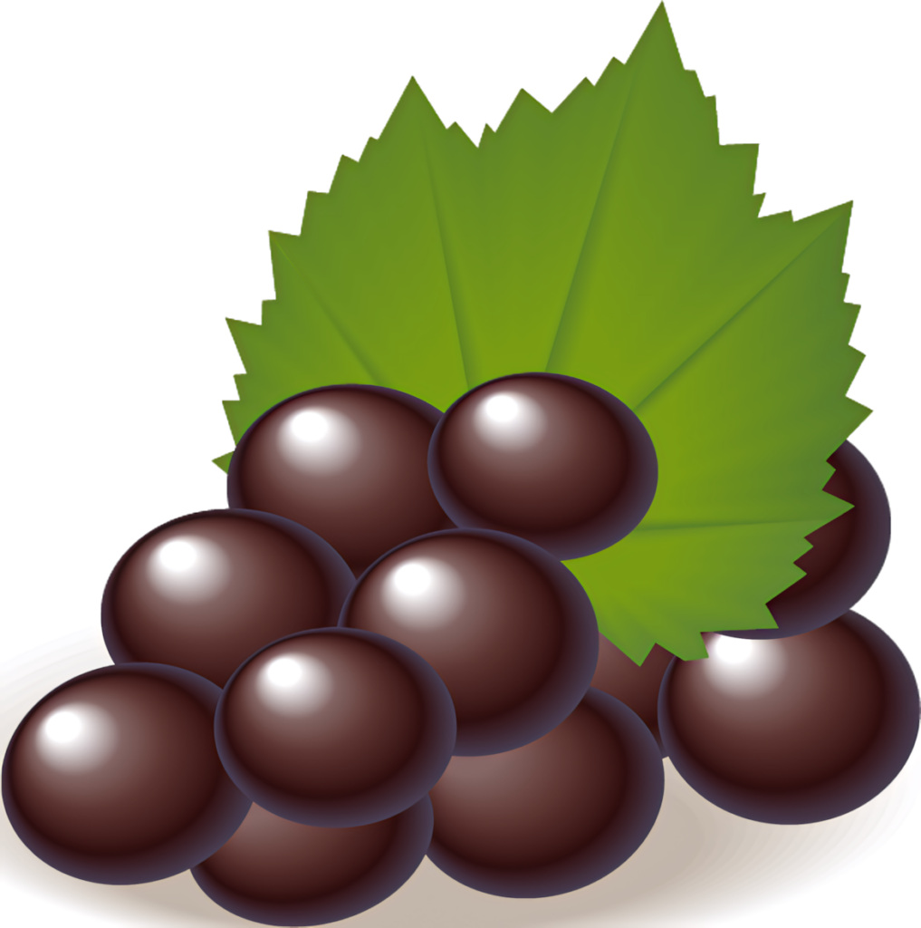 Chocolate Truffles on Green Leaf - Delicious Wallpaper Background