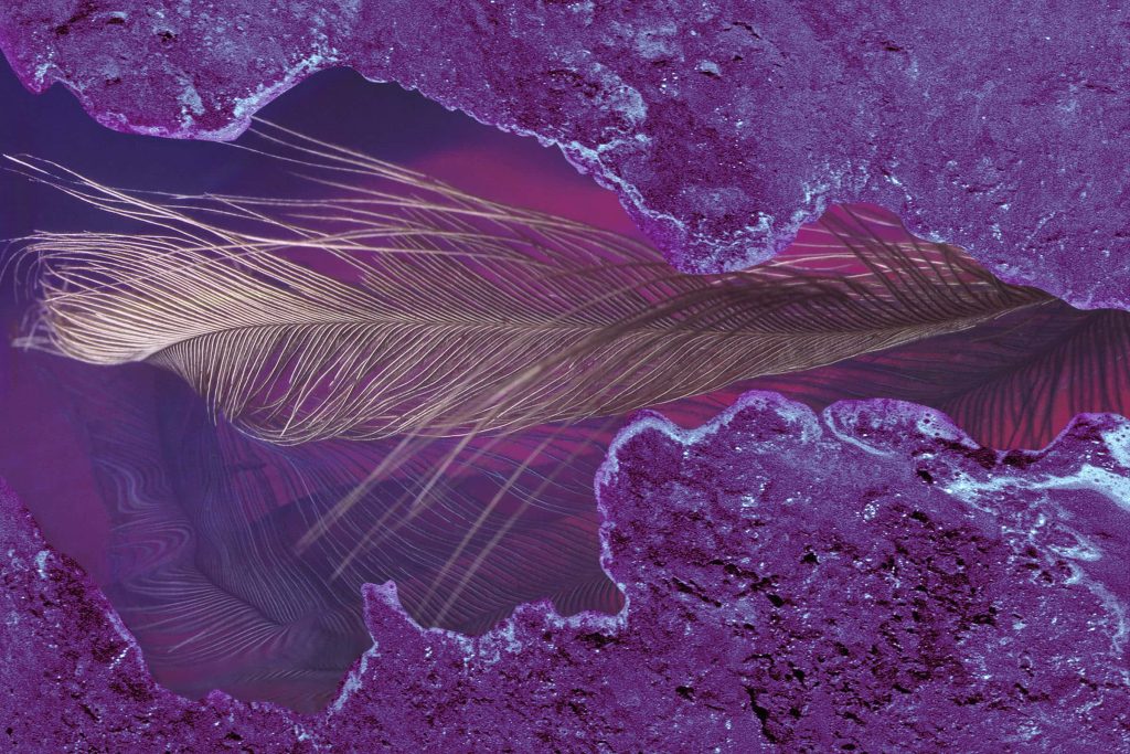 Cool Purple wallpaper with delicate feather and textured violet border abstract background