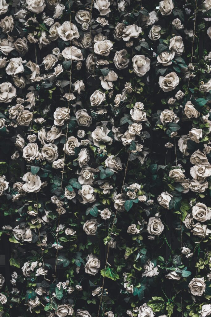 Elegant Cream Roses Wallpaper: Floral Garland on Green Background