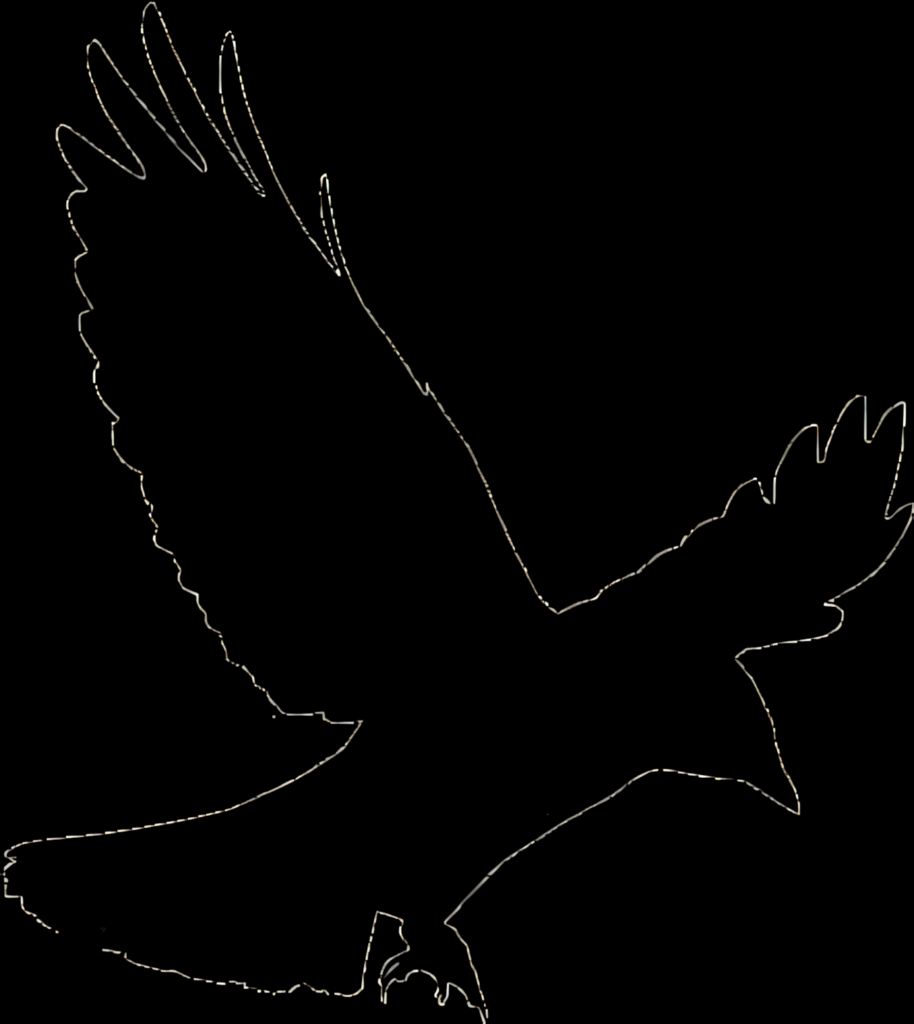 Crow Silhouette Wallpaper: Elegant Minimalist Design on Transparent Background