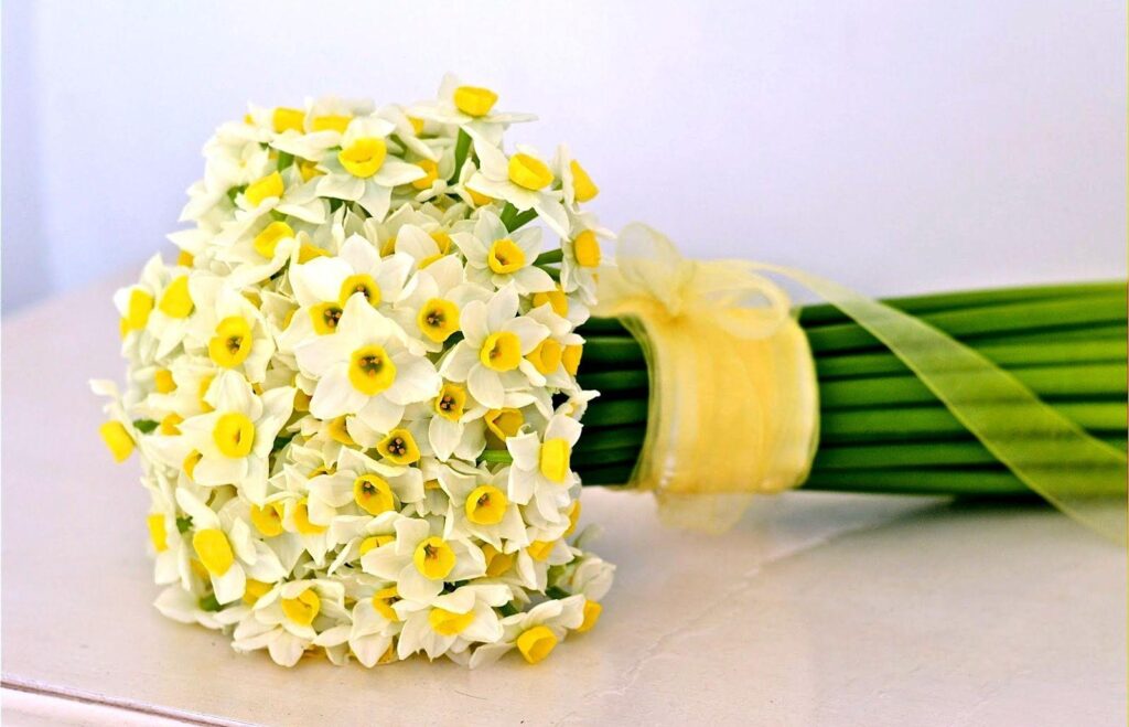 Elegant Daffodil Bouquet Wallpaper with Yellow Ribbon Accent