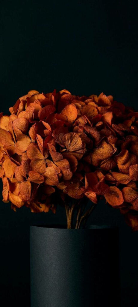 Elegant Dark Orange Floral Wallpaper for Striking Home Decor