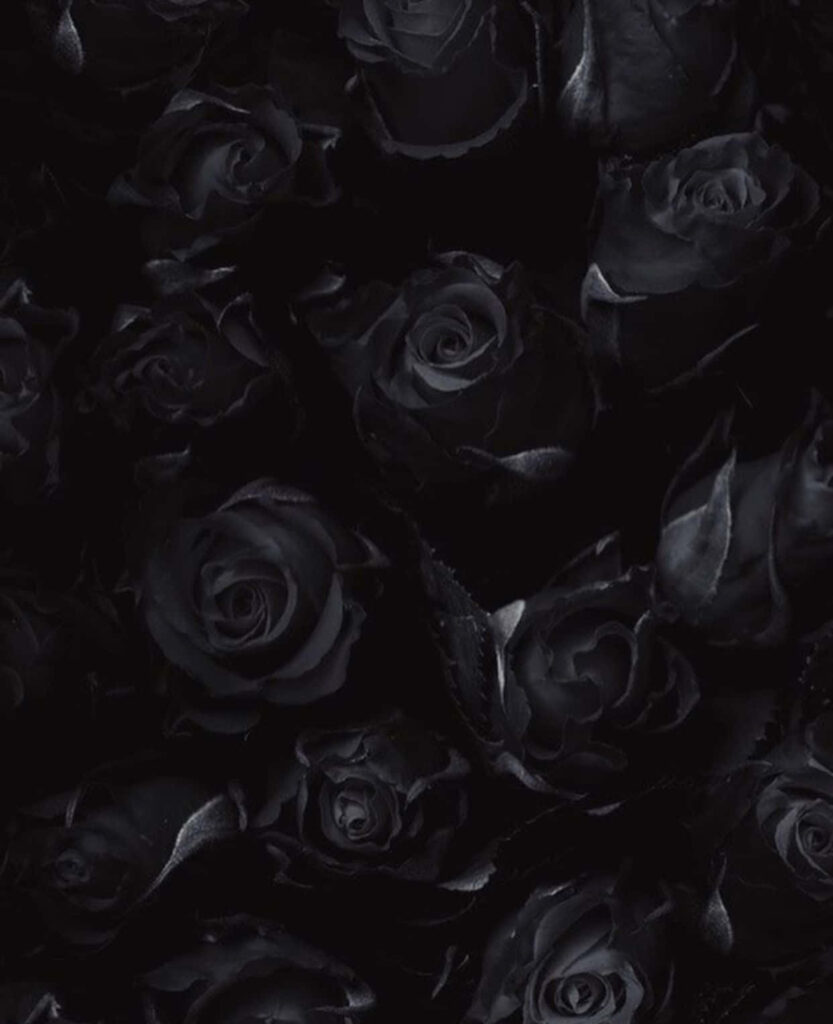 Elegant Black Roses Wallpaper: Dark & Mysterious Background Design
