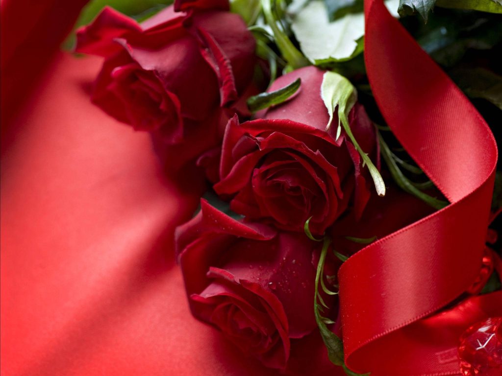 Romantic deep red rose wallpaper with dew and red ribbon on silky elegant desktop background