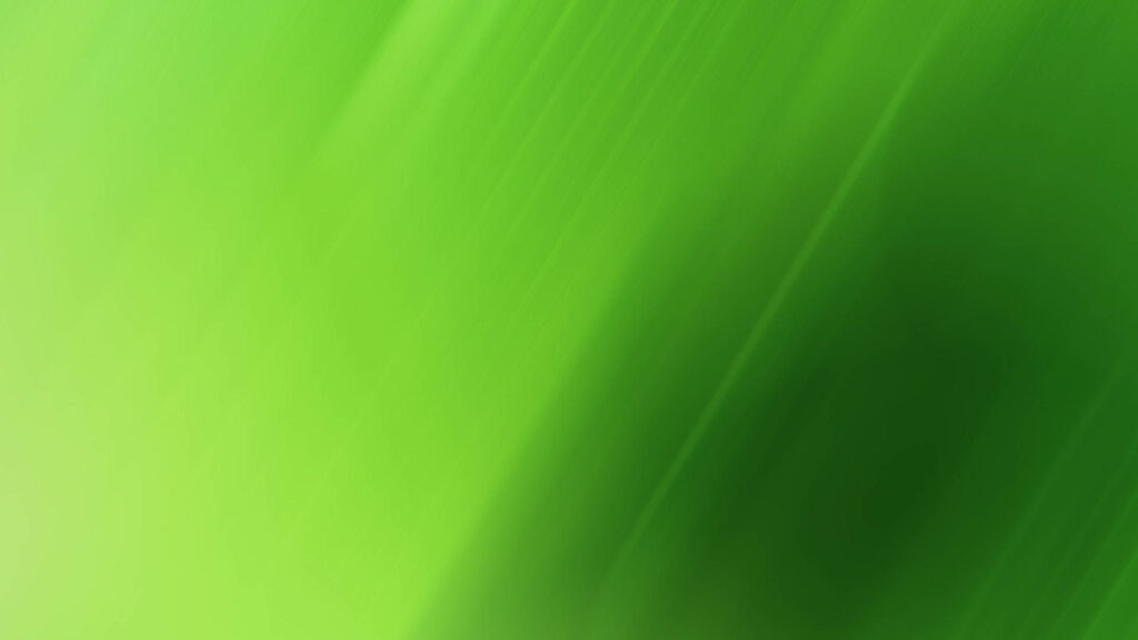 Refreshing Light Green Abstract Desktop Wallpaper - Plain and Serene Background Image