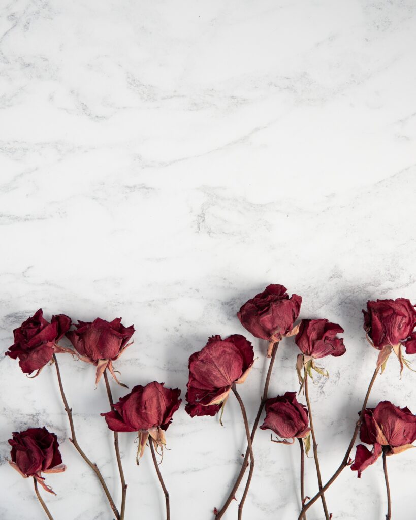 Elegant Dried Red Roses Wallpaper on Light Marble Background
