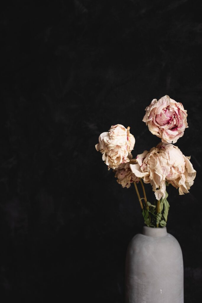 Minimalist Dried Roses in Elegant Vase - Serene Dark Background Wallpaper