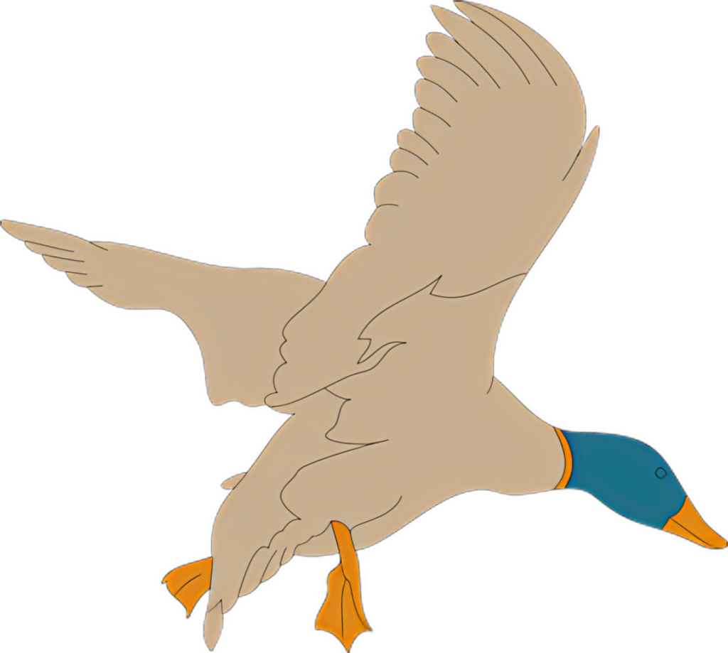 Elegant Duck Silhouette Wallpaper on Transparent Background