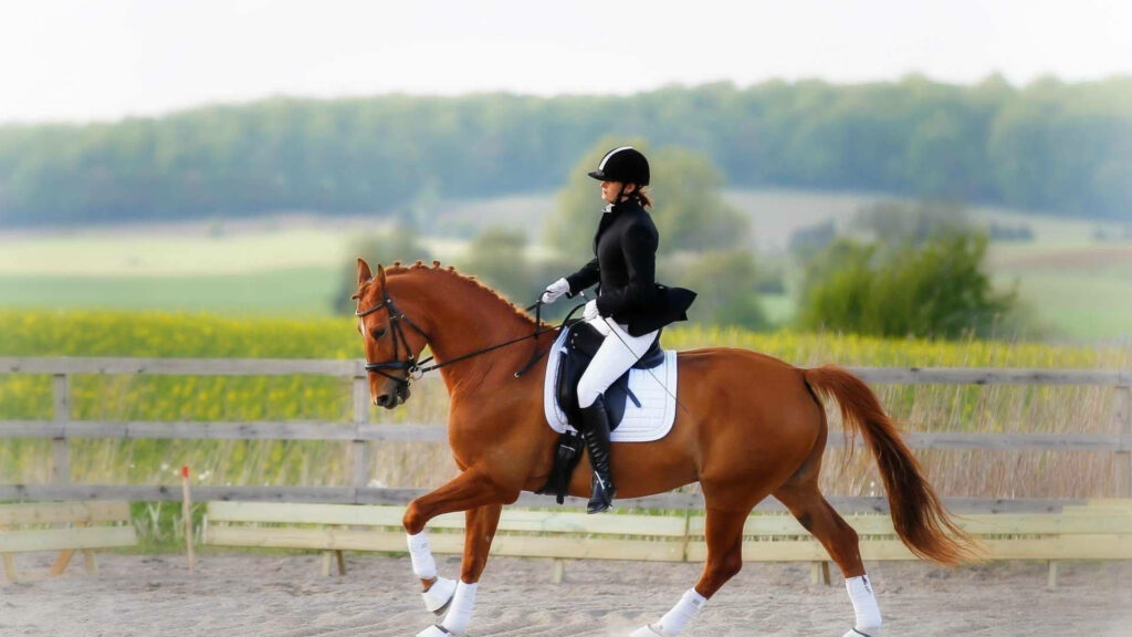 Elegant Equestrian Skills Wallpaper: Horse Rider in Serene Nature