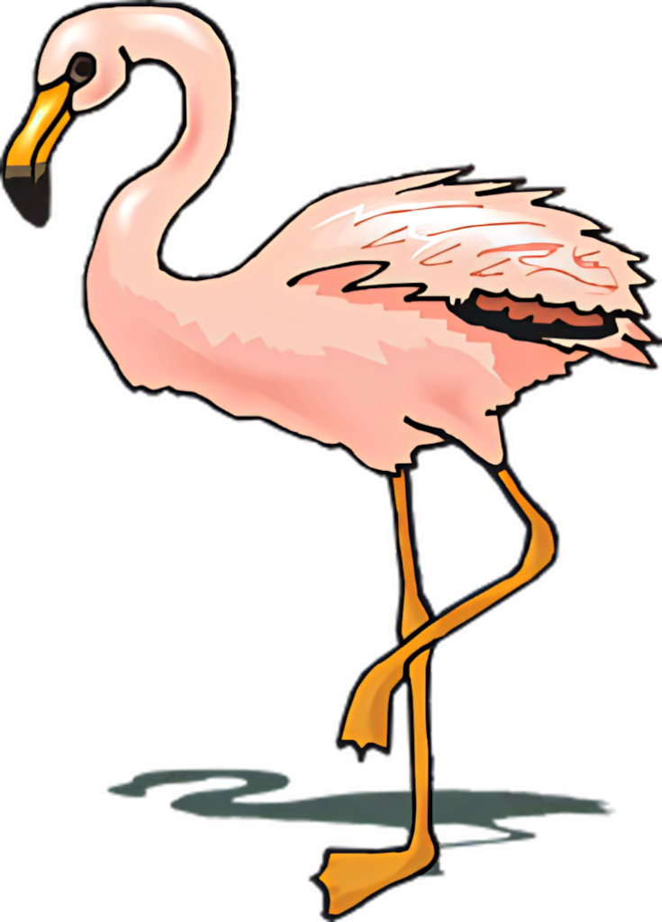 Elegant Flamingo Wallpaper: Soft Pink Minimalist Illustration for Stylish Spaces