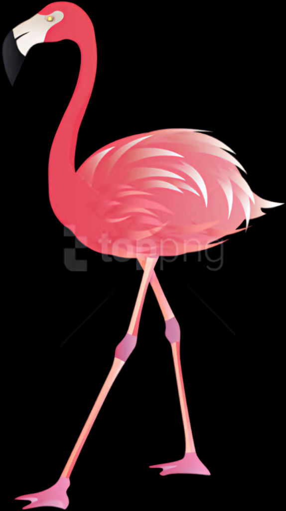 Elegant Flamingo Wallpaper: Graceful Design with Vibrant Pink Feathers