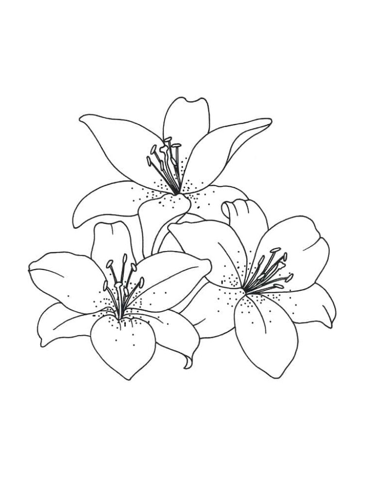Elegant Floral Line Drawing Wallpaper Design – Simple & Detailed Background