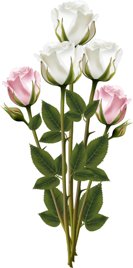 Elegant Floral Wallpaper: White & Pink Roses with Green Leaves