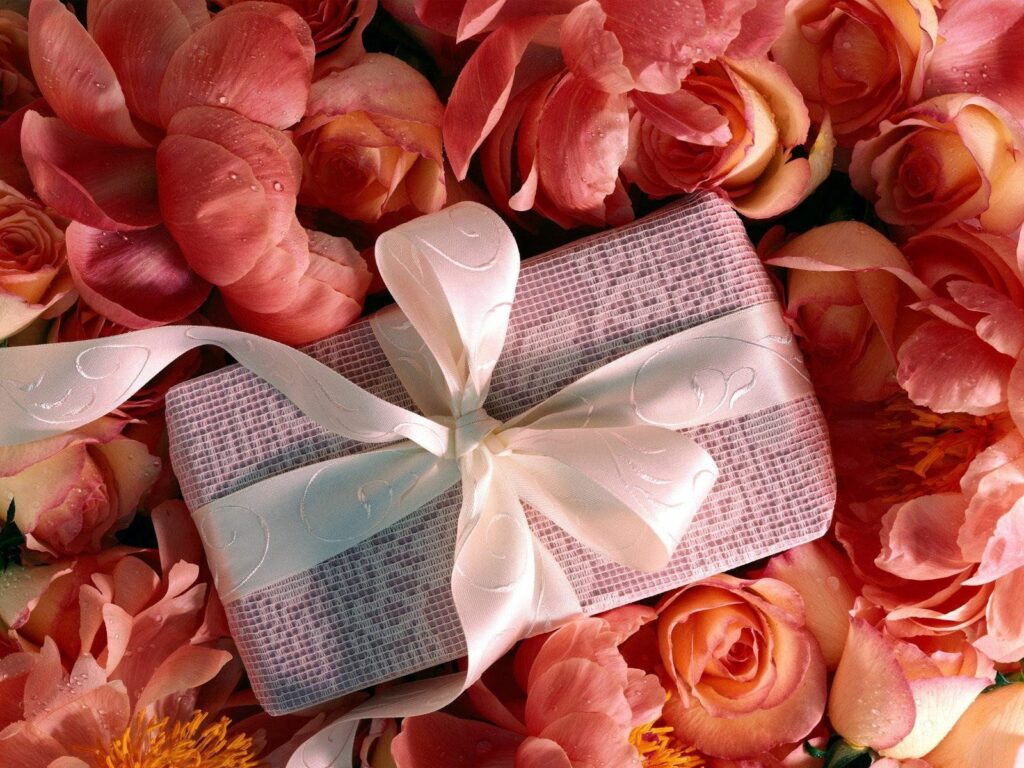 Elegant Gift Among Roses: Romantic Pink & Peach Floral Background Wallpaper
