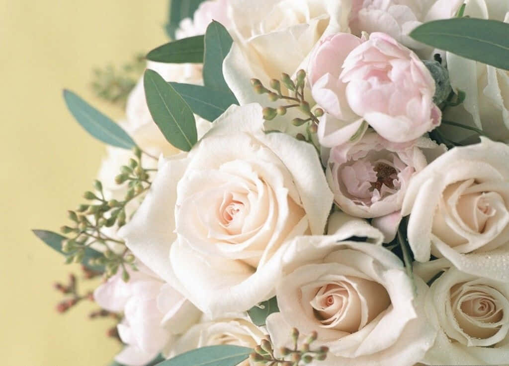 Elegant Floral Wallpaper: Ivory Roses & Pink Peonies Background