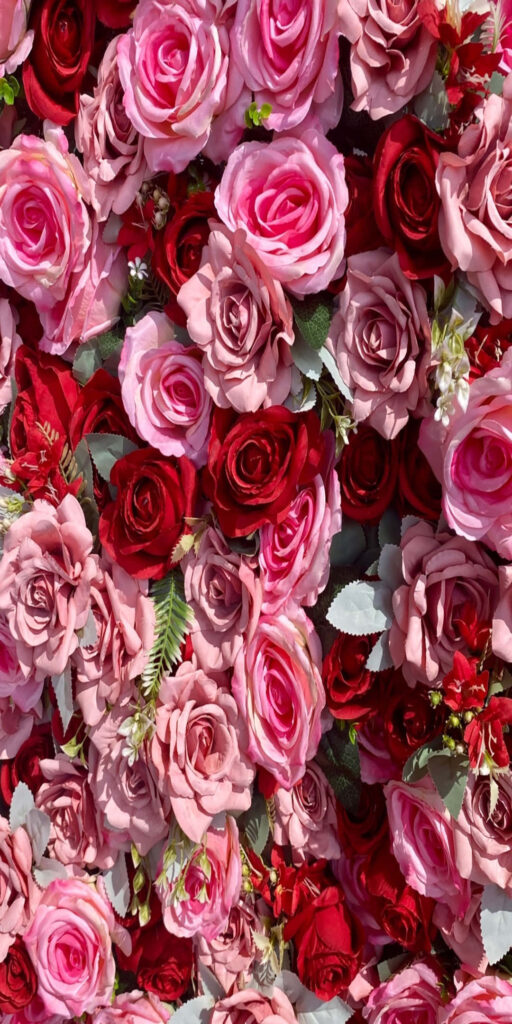 Stunning Floral Background: Vibrant Red & Pink Rose Wallpaper