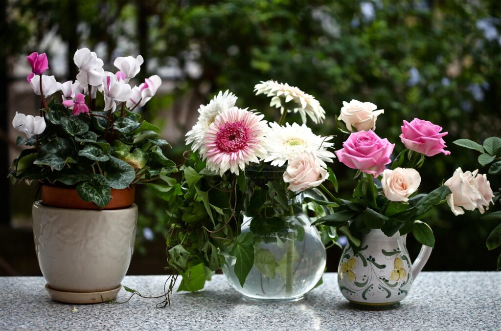 Elegant Flower Wallpaper: Pink & White Cyclamen, Gerberas & Roses
