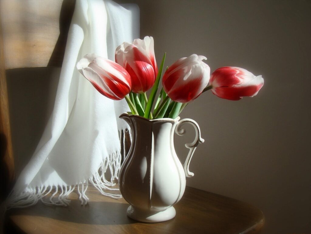 Elegant Still Life: Red and White Tulips in Charming Rustic Setting Wallpaper