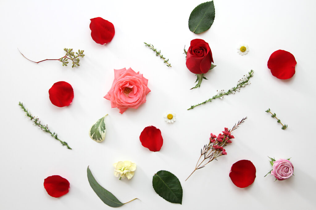 Elegant Floral Wallpaper: Vibrant Roses & Leaves on White Background