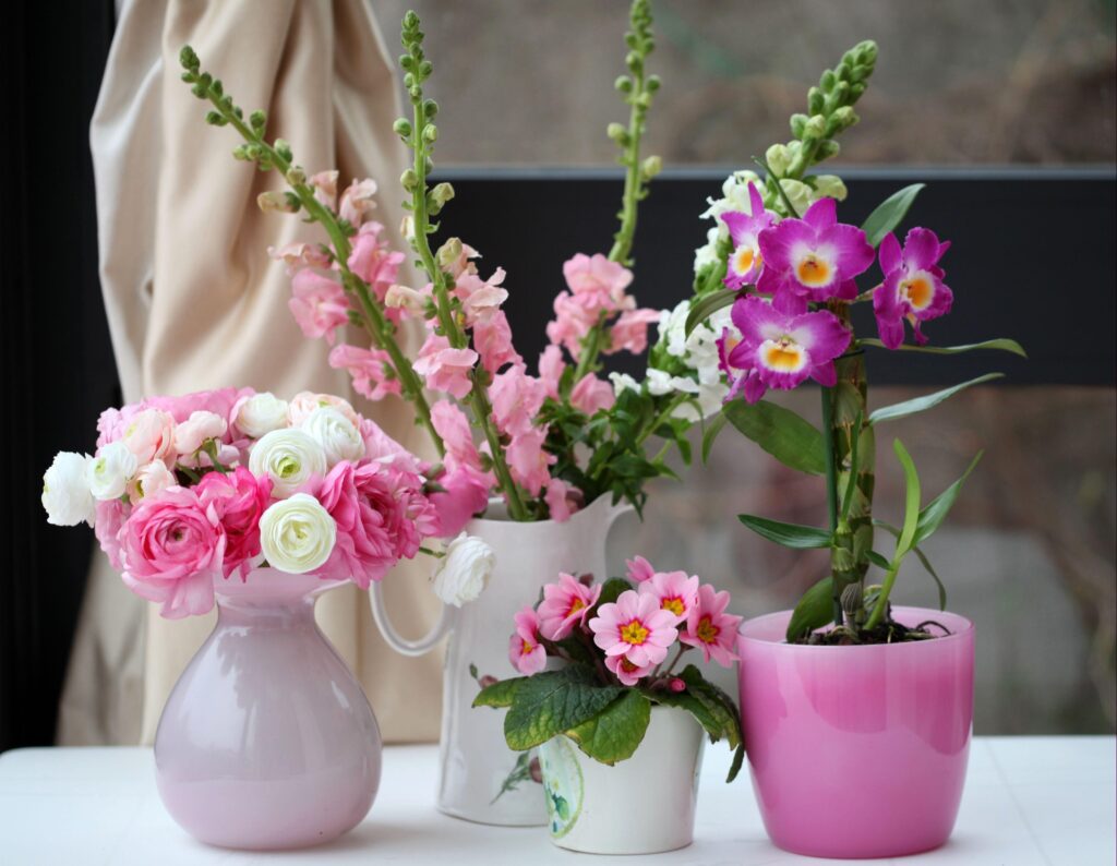Elegant Floral Wallpaper: Ranunculus, Orchids & Gillyflowers Display