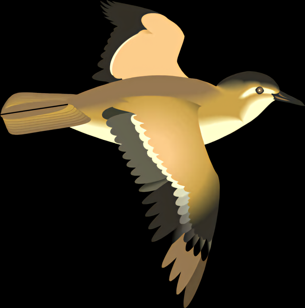 Elegant Vector Flying Bird Wallpaper on Transparent Background