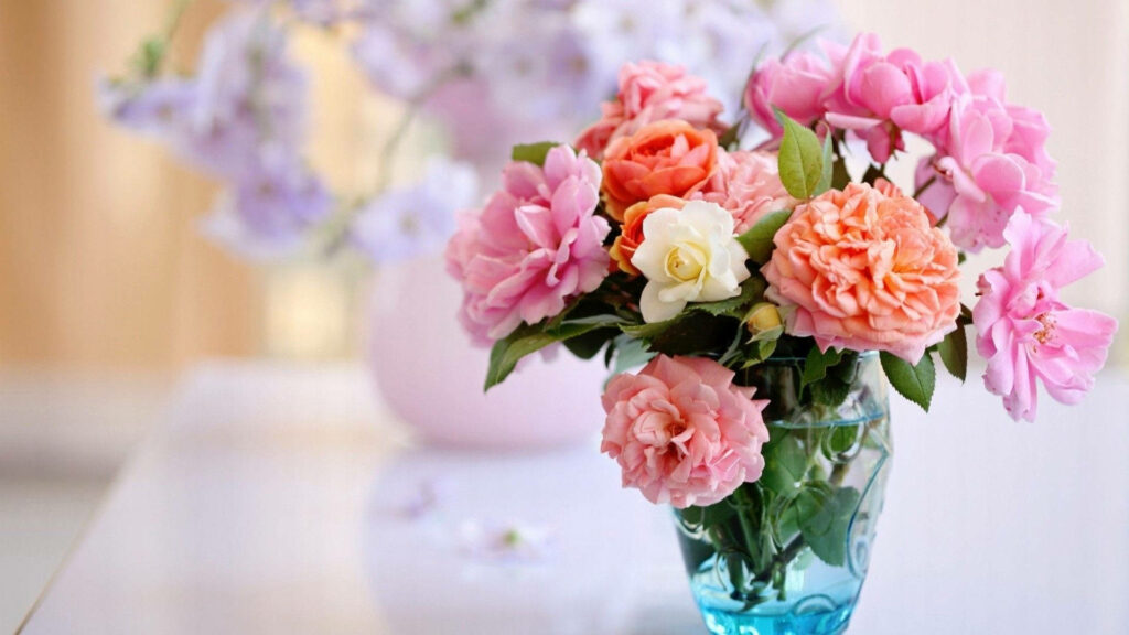 Elegant Garden Roses in Blue Vase | Soft Blurred Background Wallpaper