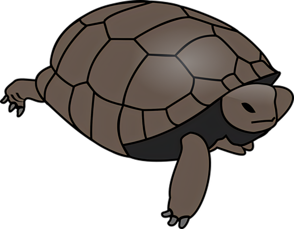 Stylized Turtle Wallpaper with Geometric Patterns and Warm Colors