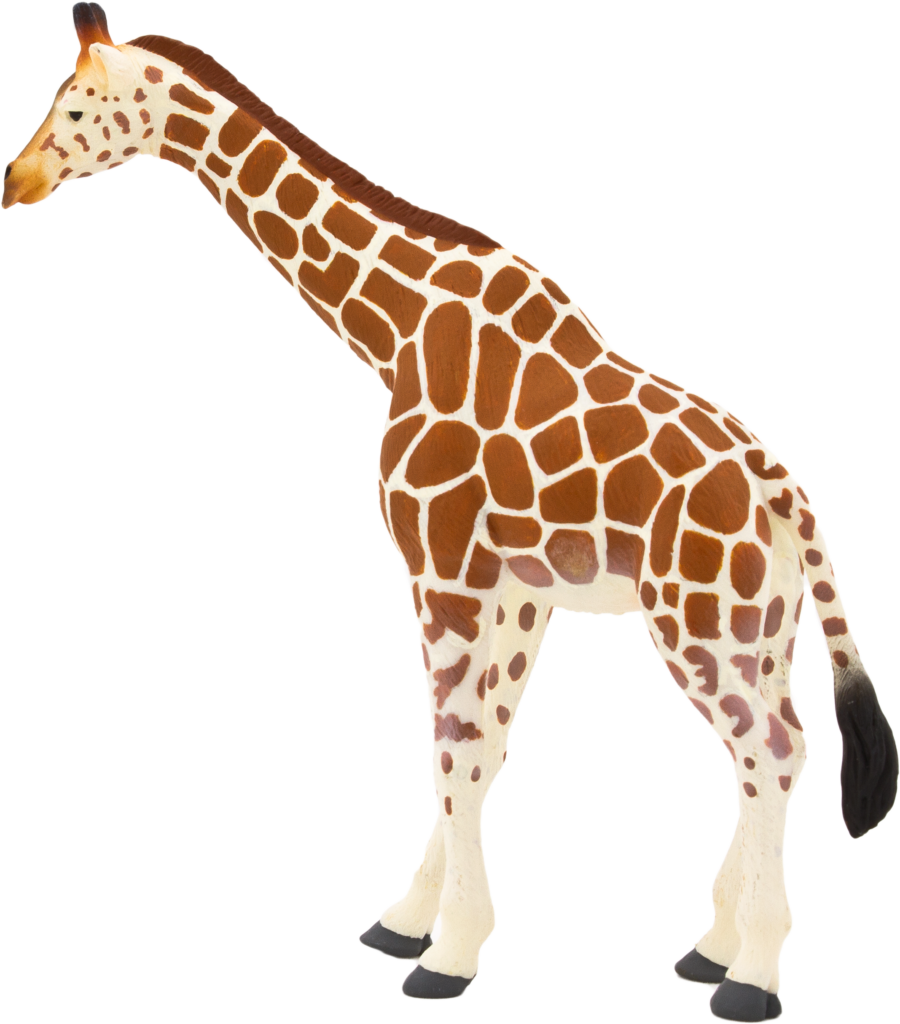 Elegant Giraffe in Profile - Detailed PNG Wallpaper